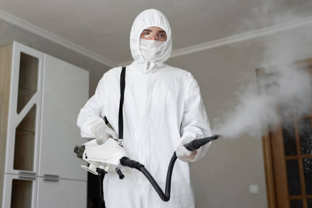 Stearns, KY Mold Removal & Remediation Company